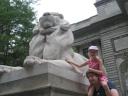 lion